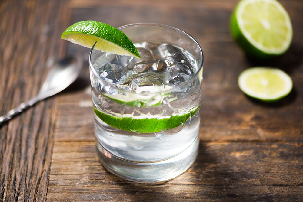 10 Best Gin Drink Recipes