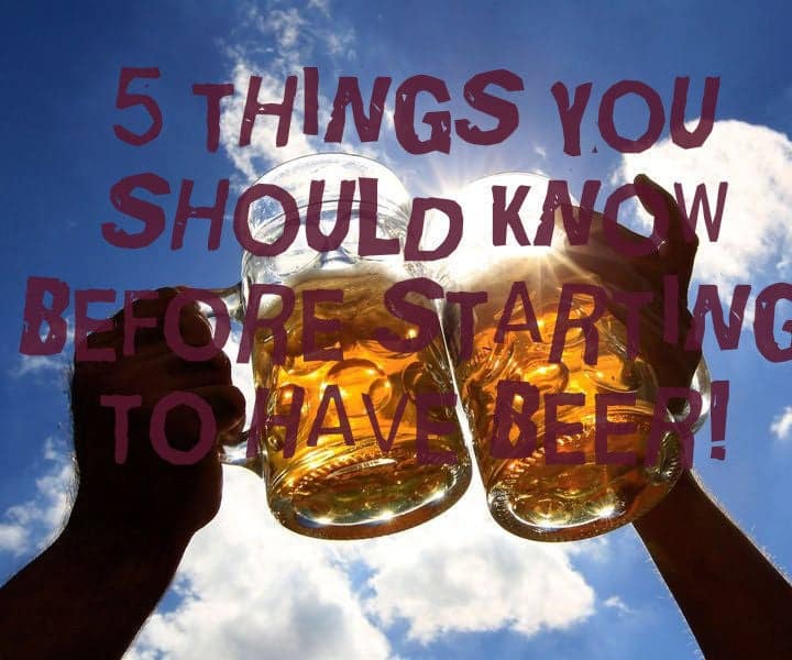 5 Things You Must Know Before Starting Have Beer! : 4 Steps