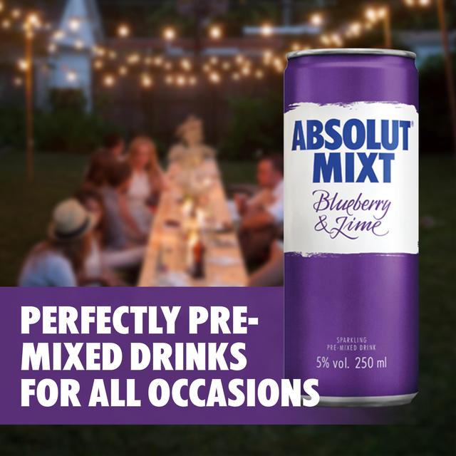 Absolut Mixt Blueberry &  Lime Mixed Vodka Drink