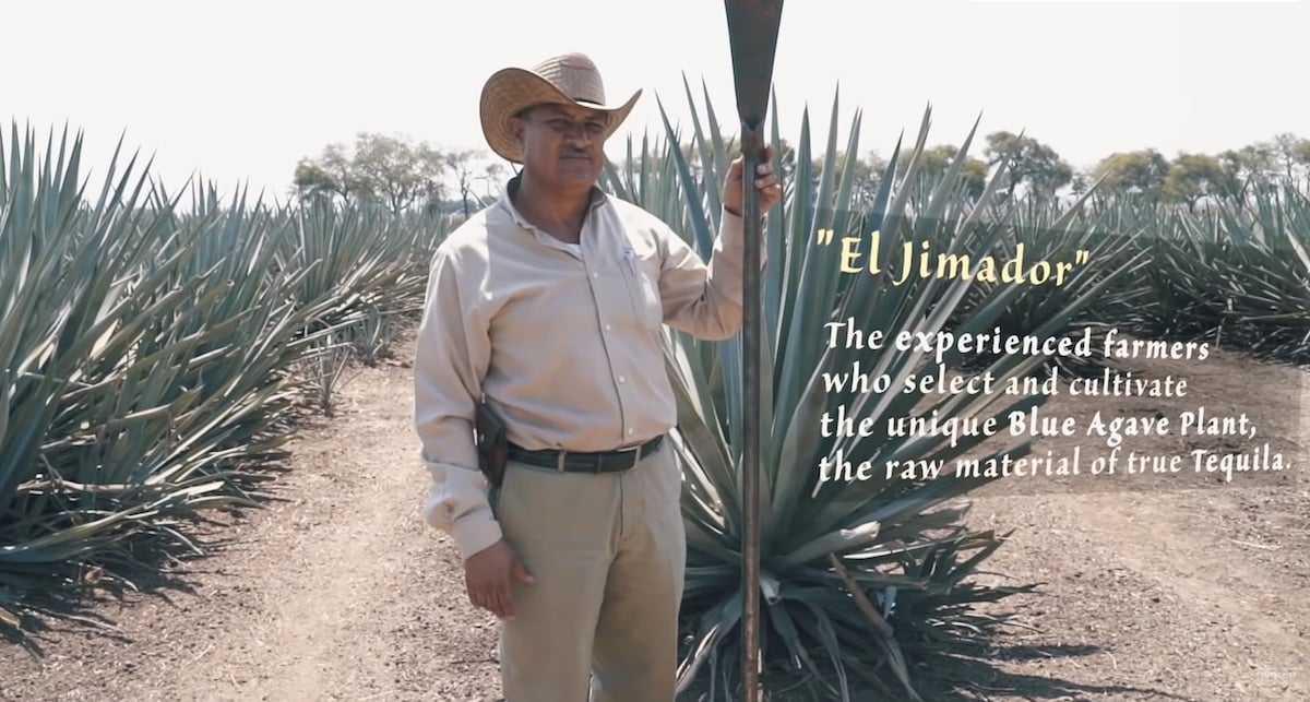 How Authentic Tequila is Made