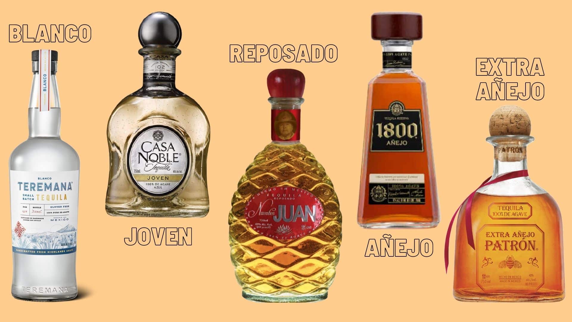 How Many Types of Tequila Are There? What Are They ...
