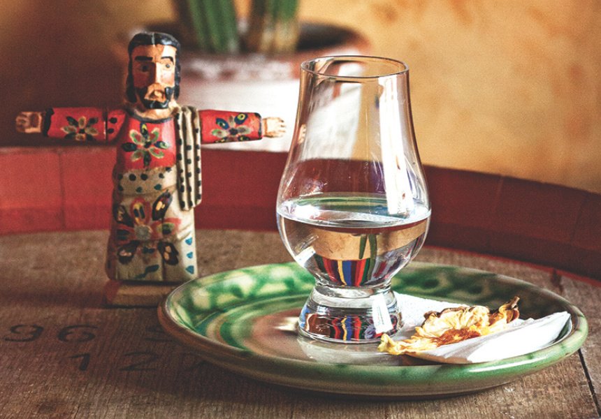Mezcal vs. Tequila: Whats the Difference?