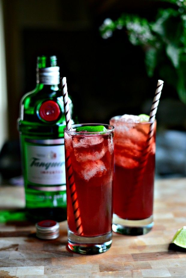 Pomegranate Gin &  Tonic