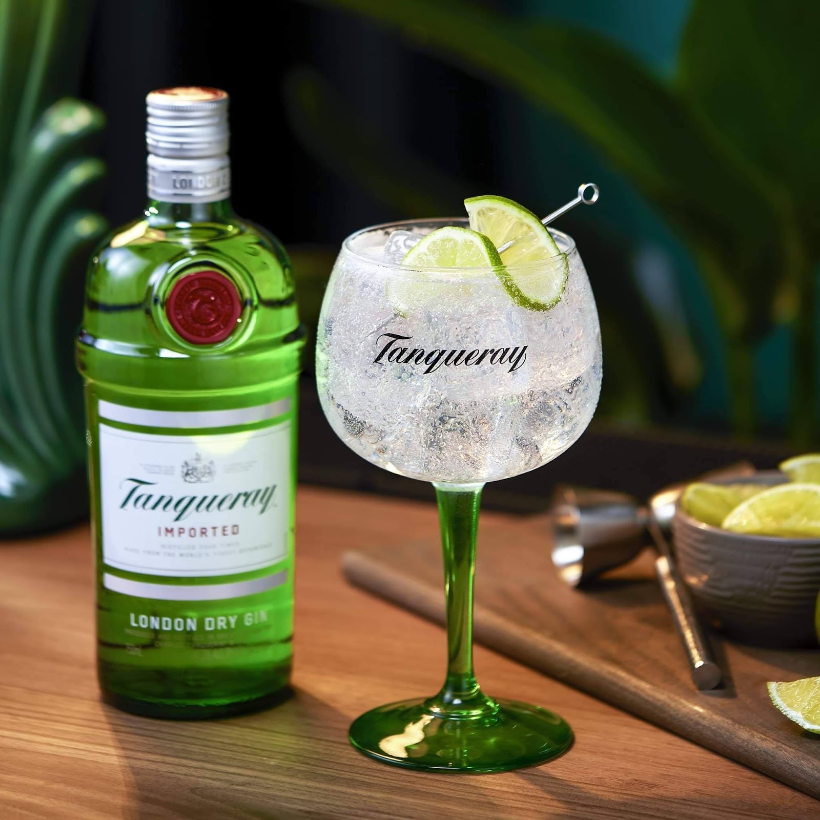Tanqueray and Tonic Cocktail Recipe