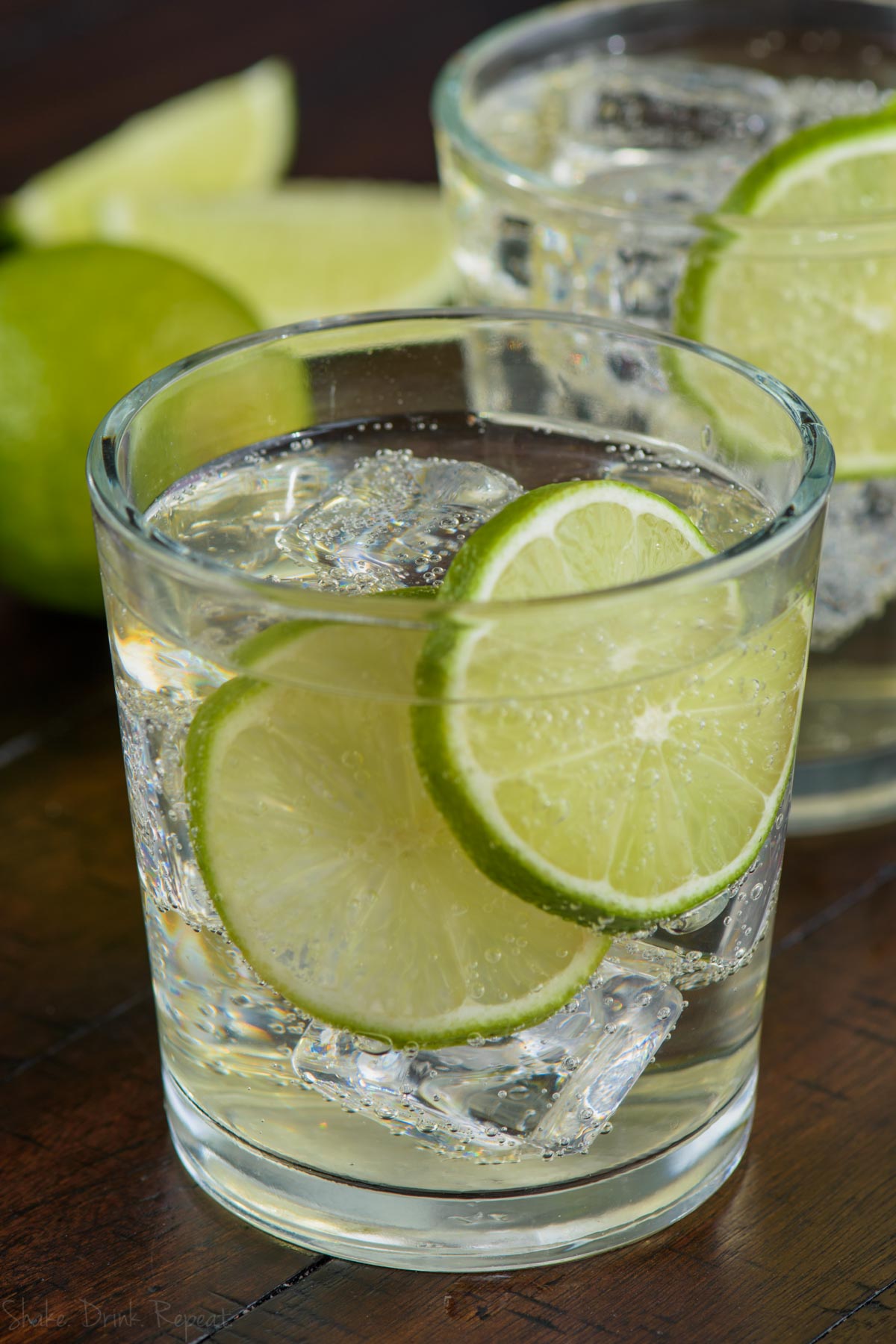 The Perfect Gin and Tonic Recipe