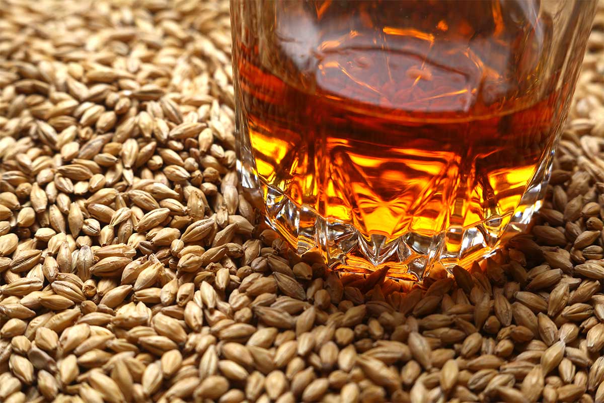 Whiskey 101: A Quick Guide to Grains
